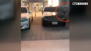警車就停在門口　男KTV前無視公權力大膽砸車