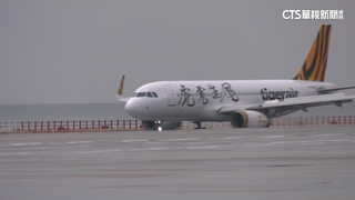 廉航搶航空市場！　爭取東北亞熱門航點拚載客率
