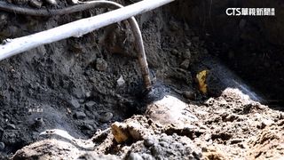 台中5男女學「霹靂油俠」　鑿洞偷2千公升柴油判賠101萬