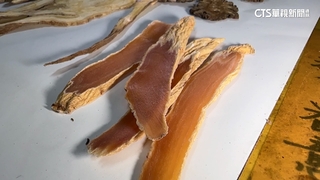 立冬進補「當歸」2年漲三倍！　業者苦撐吸收成本