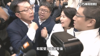 藍綠為「財劃法」大打出手　陳玉珍喊：牙齒掉了