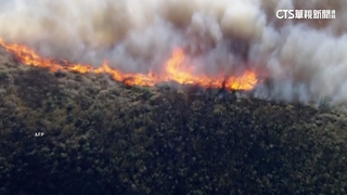 強風助長野火延燒！　美國南加州下令疏散萬人