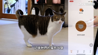 與毛孩對話不是夢！AI翻譯神器破解「貓言狗語」