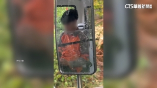 扯！　壽山動物園司機「邊開車邊滑手機」　遊客傻眼