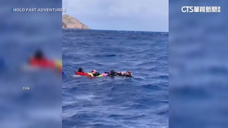 夏威夷觀光船「丟人」　5潛水客海上漂2小時