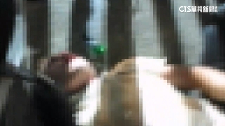 美籍男醉後鬧花博打傷保全　疑為國防部美軍駐台教官