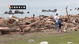 南濱公園海灘漂流木遍布　天兔來襲花蓮民眾憂