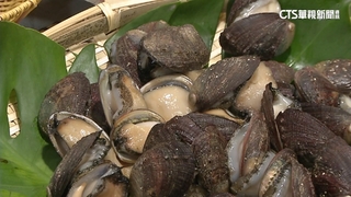 嚐東北角海味！　貢寮鮑魚產季到　經黑潮滋養超Q彈