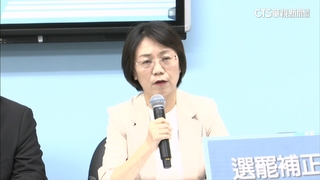 民團+律師上街反修「憲訴法」　翁曉玲：為健全制度