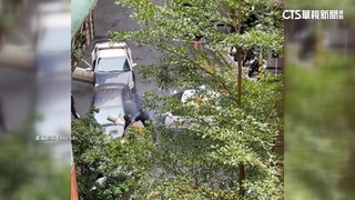 驚險直擊！警圍捕詐團　警棍.水泥座砸車逮2車手