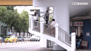 草悟道周邊「有天橋沒行穿線」　娃娃車多繞20分鐘