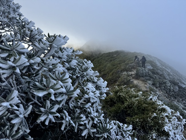 潔白美景！雪霸山區現白霜 雪管處籲：登山民眾洋蔥式穿法 | 華視新聞