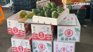 颱風重創產地！　木瓜缺貨價飆3倍「有錢買不到」