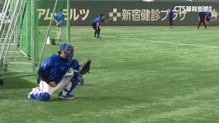 「配球皇帝」資料庫來源　12強情蒐團隊幕後相助