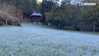 玉山今最低溫-1.2度　武陵掛冰晶.草地結霜
