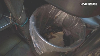 知名冰店抹布丟紅豆湯？　業者澄清：鍋中是廚餘