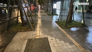 大巨蛋自行車道一年44人慘摔車　市府：會勘改善