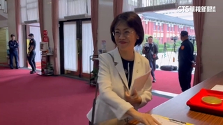 提案刪「吳斯懷條款」今送程序委員會　翁曉玲避談