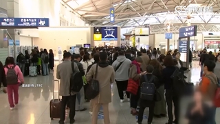 中國對南韓試行免簽　赴上海旅遊訂單暴增178%