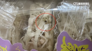 嚇！煮麵條竟浮出多隻小蟲　業者：疑原料有卵