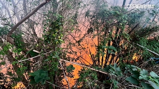 疑不滿財產分配！男縱火燒老家雜草　依公共危險罪送辦