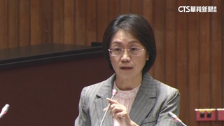 脫口「中國人是外國人嗎」挨轟　翁曉玲：尊重不同見解