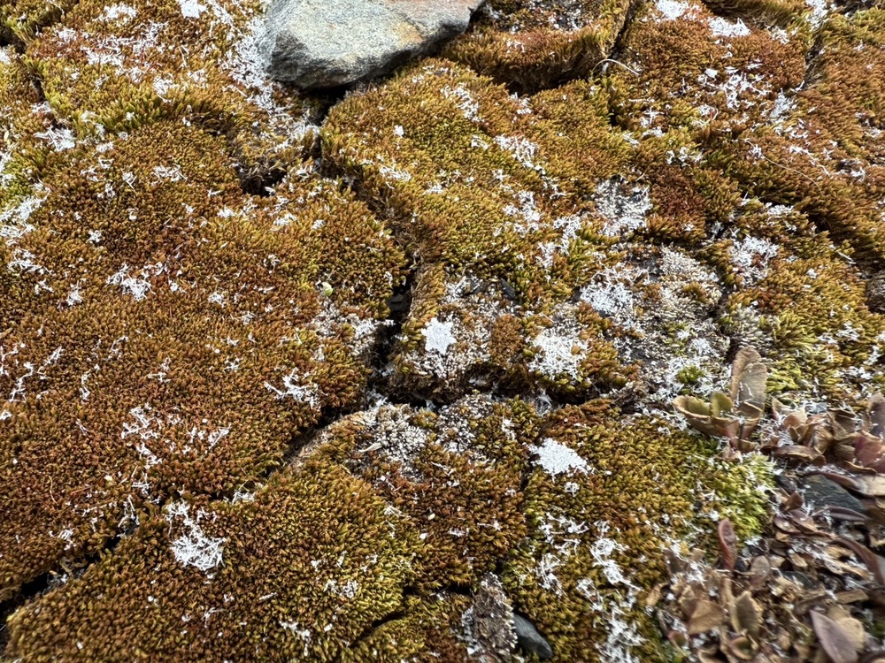 圖／中央氣象署