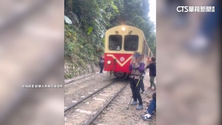 放任遊客闖阿里山鐵道　旅行社「有前科」將重罰