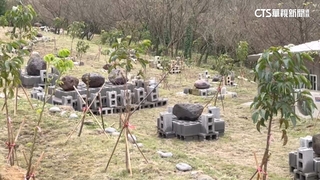 疑在農地擺圖陣違法　「亞特蘭提斯帝國」組織未回應