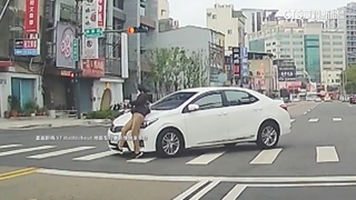 轎車疑違規左轉「切西瓜」　行人遭撞飛.彈摔引擎蓋