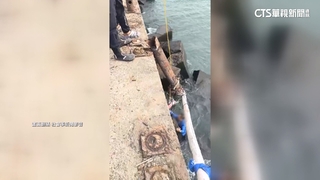 疑欄杆鏽蝕！火力發電廠出海口釣魚　釣客墜海