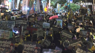 繞行立法院持手燈學追星人　青鳥：南韓公民運動啟發