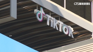恐助長暴力　阿爾巴尼亞宣布禁TikTok一年