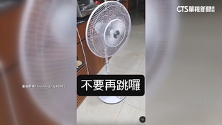 阿妹大巨蛋嗨唱！　居民怨住宅微震　遠雄：將與主辦研議