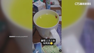 阿妹嗨唱大巨蛋.民怨「類地震」　體育局：暫不禁跳動