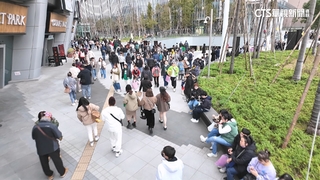 北市府祭大招驅黃牛　小巨蛋明年試辦「全實名制」