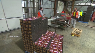 台灣大躍進！　人均金融資產達全球「第五富有」