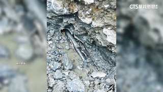 全身麻！　北市名店旁地面漏電　騎士遭電擊送醫