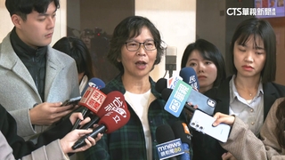 辭市政顧問選中央委「為爭黨魁」？　蔡壁如：有人承擔就支持