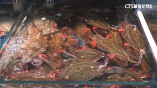 中國擬解禁日本水產進口　因川普要加徵關稅？