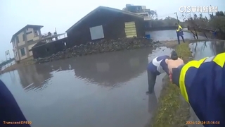 通緝犯拒檢逃進田裡　泥濘中寸步難行狼狽栽