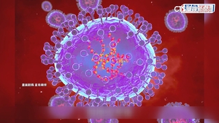 中國爆「人類間質肺炎病毒」疫情　14歲以下.北方省病例大增