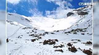 雪山主峰白了頭　24日降入冬首波瑞雪後積雪5公分