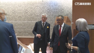 以色列空襲葉門機場　WHO秘書長譚德塞差點被波及