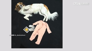 大谷要當爸了　IG曝喜訊「等不及小成員加入」