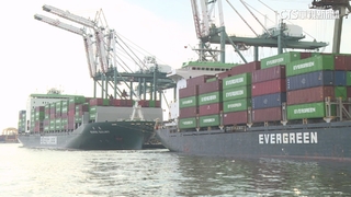 好羨慕！　長榮海運公布年終獎金高達20個月