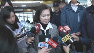 林姿妙涉貪遭判12年半　內政部：由副縣長林茂盛代理職務