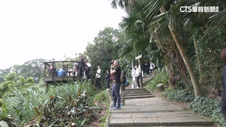 搶拍101跨年煙火！　象山擠滿腳架.民眾提早卡位