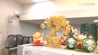 手搖店愛擺招財貓？　民俗專家：店員.客人較年輕