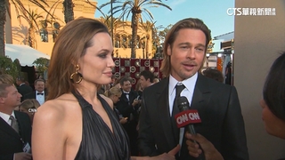 官司纏訟8年　裘莉小布終於達成離婚協議